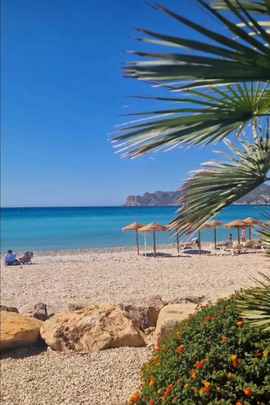 Je loopt de tuin uit en stapt zo het strand op.